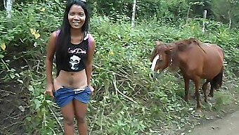 Heatherdeep.Com Shows A Teen'S Love For A Huge Horse Penis That Makes Her Ejaculate