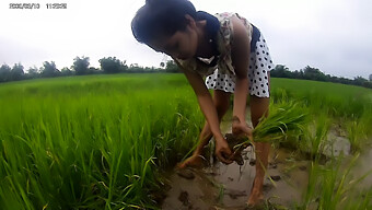 Una Chica Asiática Amateur Se Expone En El Campo De Arroz Abierto