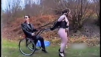 Bdsm Ponygirls Unterwerfen Sich Dem Extremen Training