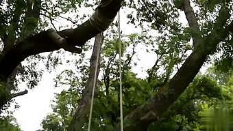 Luna Amor'S Grote Borsten Stuiteren In De Tuin