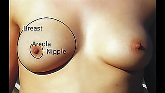 Una Variedad De Tetas Grandes Y Naturales