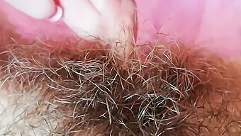 Close-Up Of A Hairy Pussy With Big Lips And A Squirting Clit